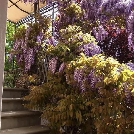 招待所 La Casa Del Frate 卡斯蒂里昂·菲奥伦蒂