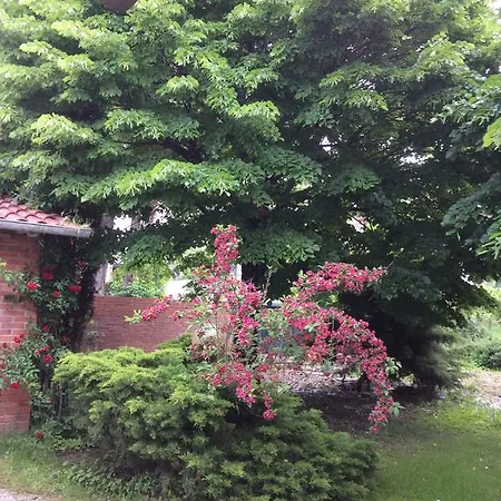 招待所 La Casa Del Frate 卡斯蒂里昂·菲奥伦蒂